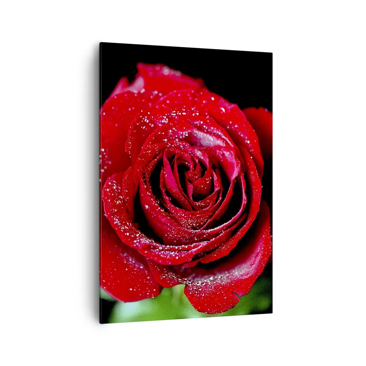 Quadro em tela - Isso é amor - 70x100 cm