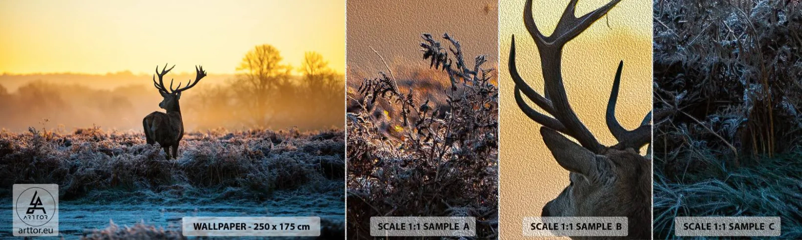 Amostra de papel de parede Premium Sand - Coroado em sua terra - Paisagem, Animais, Cervo - 100x30 cm