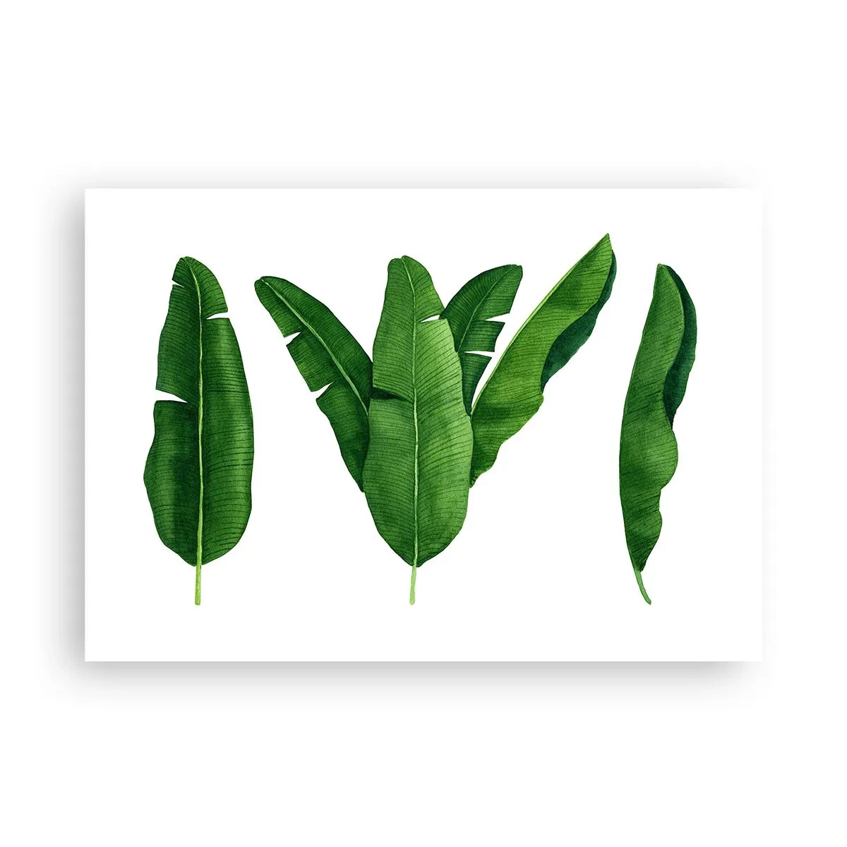 Pôster - Simetria verde - 100x70 cm