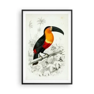 Pôster com moldura preta - Cores dos pássaros - 61x91 cm