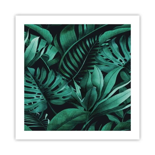 Pôster - A profundidade da vegetação tropical - 50x50 cm