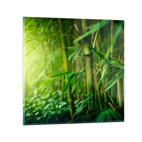 Quadro em vidro - Conheça a vegetação - 30x30 cm