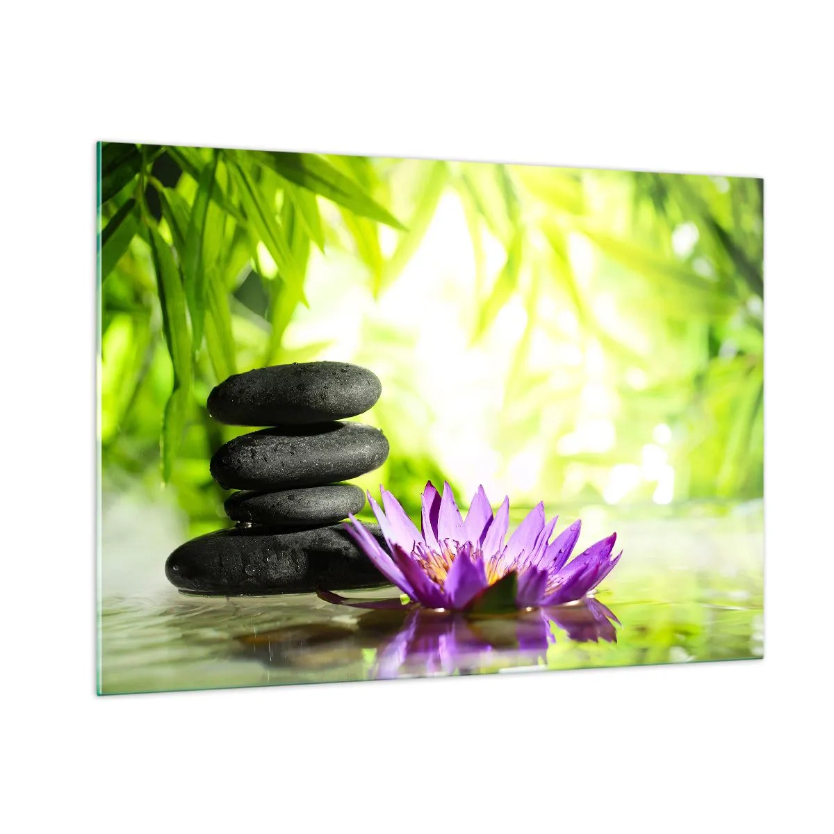 Quadro em vidro - Em um arbusto de bambu - 100x70 cm