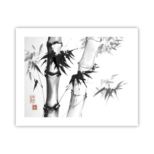 Pôster - Foco no Oriente - 50x40 cm