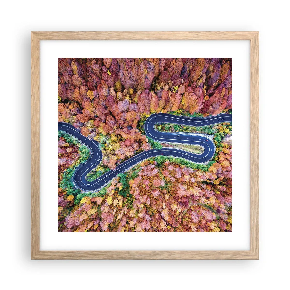 Pôster com moldura de carvalho claro - Estrada sinuosa pela floresta - 40x40 cm
