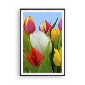 Pôster com moldura preta - Arco-íris floral em gotas de orvalho - 61x91 cm