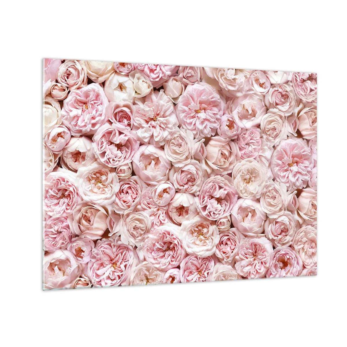 Quadro em vidro - Rosas em tons pastéis em um arranjo floral denso - 70x50cm - Uma cama de rosas - Decoração de parede moderna para a sala de estar e quarto ARTTOR