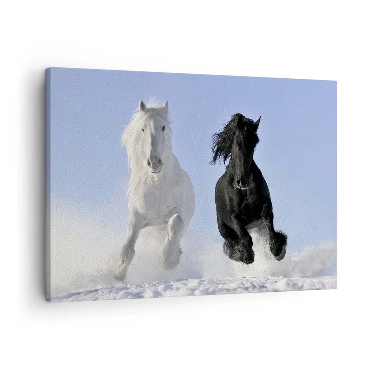 Quadro em tela - Um cavalo branco e um preto galopando pela neve - 70x50cm - Galope preto e branco - Decoração de parede moderna para a sala de estar e quarto ARTTOR
