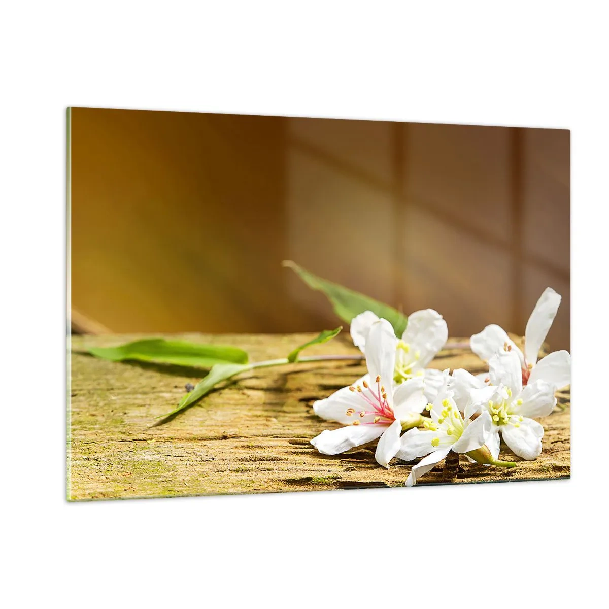 Quadro em vidro - Uma promessa inocente - 120x80 cm