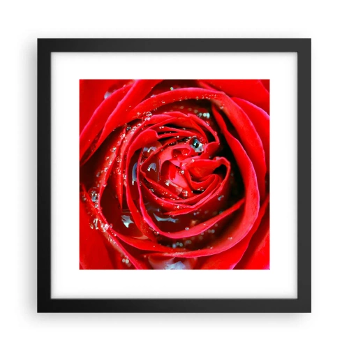 Pôster com moldura preta - Em gotas de orvalho - 30x30 cm