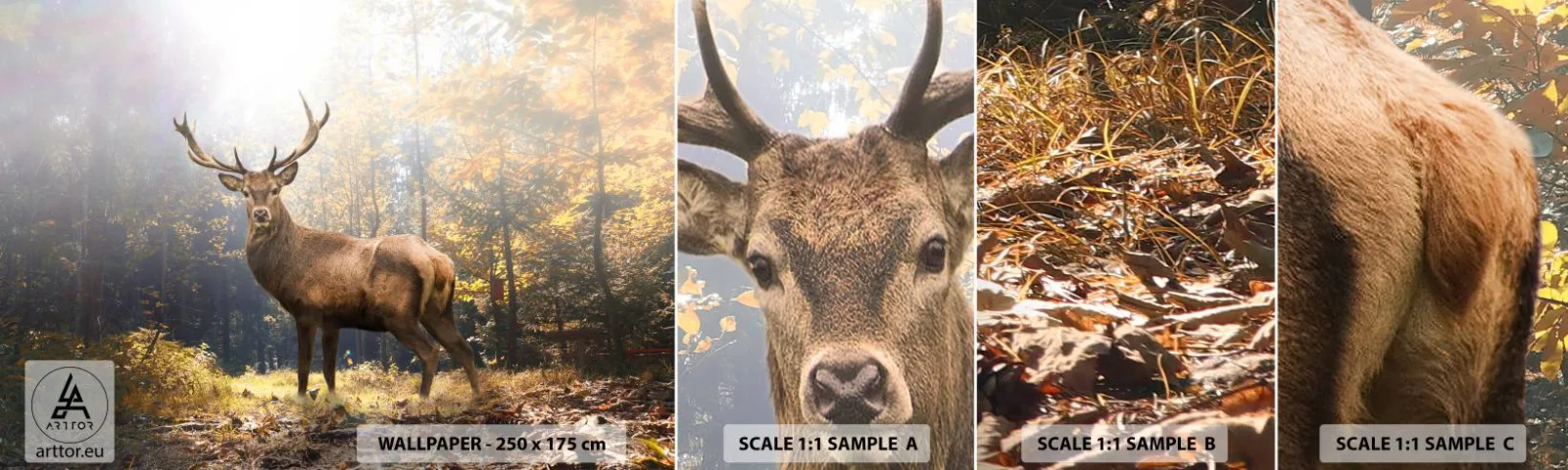 Amostra de Papel de Parede Standard Eco - Em plena majestade - Paisagem, Cervo, Floresta - 100x30 cm