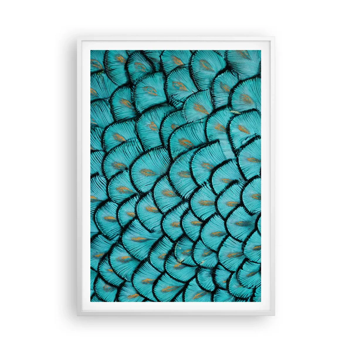 Pôster em moldura branca - A grande gala de penas - 70x100 cm