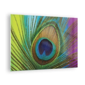 Quadro em vidro - Um close-up de uma pena de pavão colorida - 70x50cm - Olho no olho - Decoração de parede moderna para a sala de estar e quarto ARTTOR