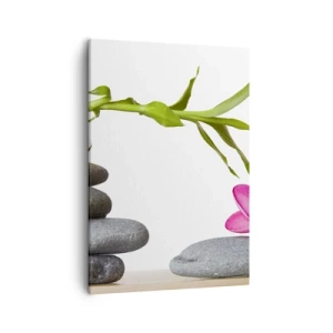 Quadro em tela - Cores da vida e duração - 50x70 cm