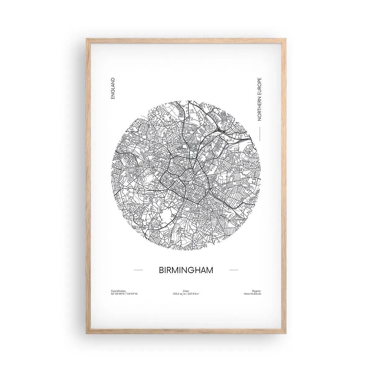 Pôster com moldura de carvalho claro - Anatomia de Birmingham - 61x91 cm