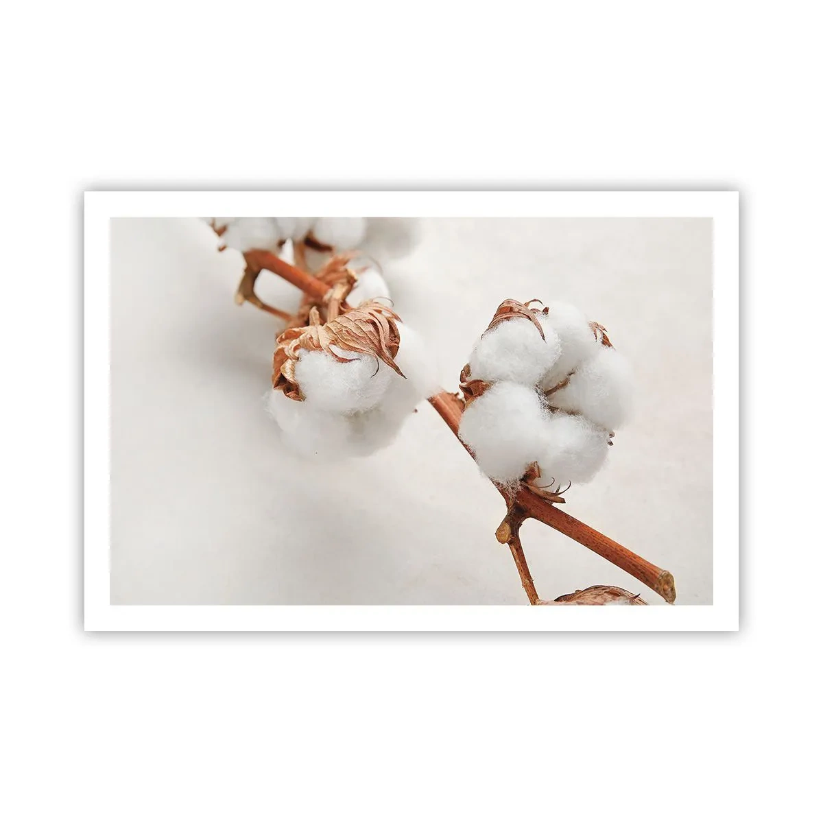 Pôster - Apenas acaricie - 91x61 cm