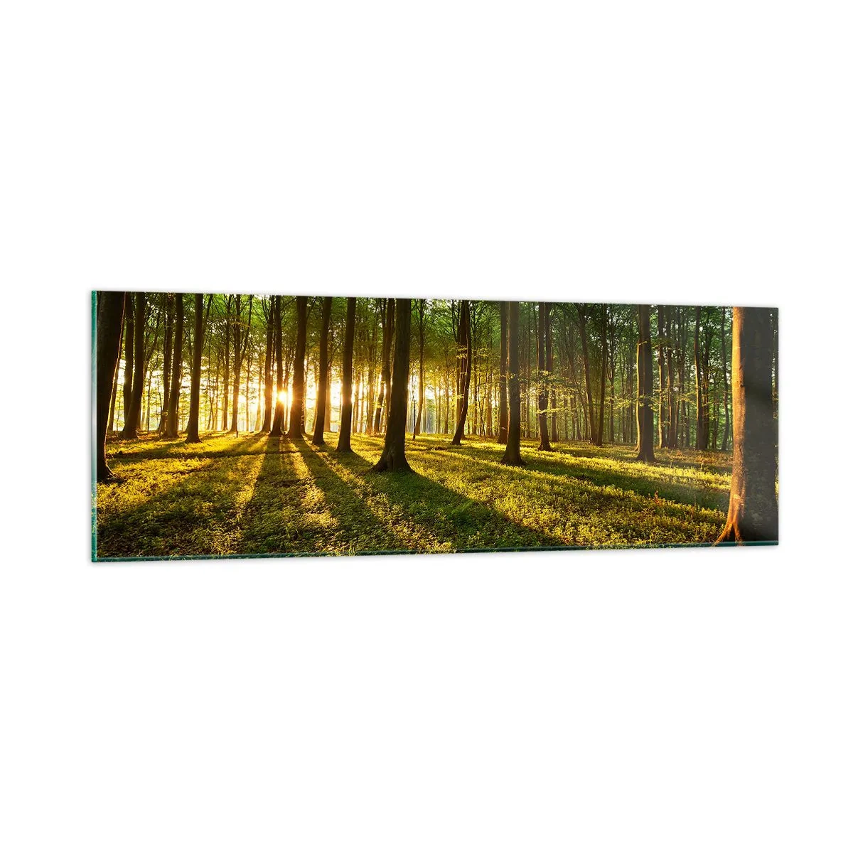 Quadro em vidro - Fotografia de todas as primaveras - 90x30 cm