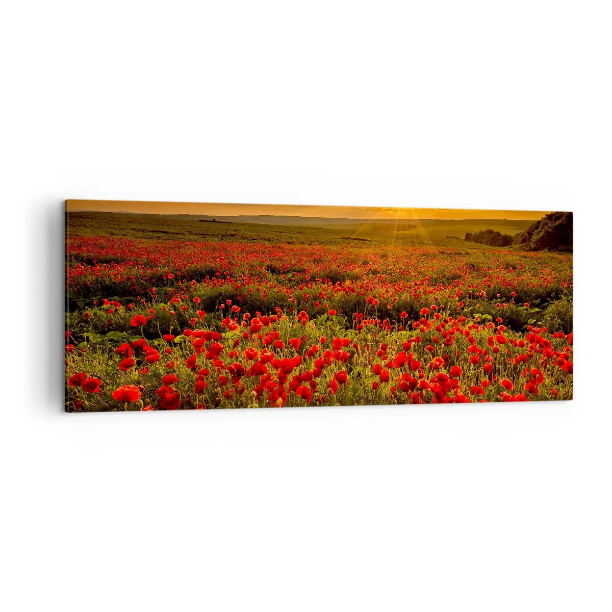 Quadro em tela - Entre o farfalhar da onda de prados, entre o dilúvio das flores - 140x50 cm