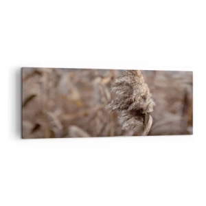 Quadro em tela - É hora de voar com o vento - 140x50 cm