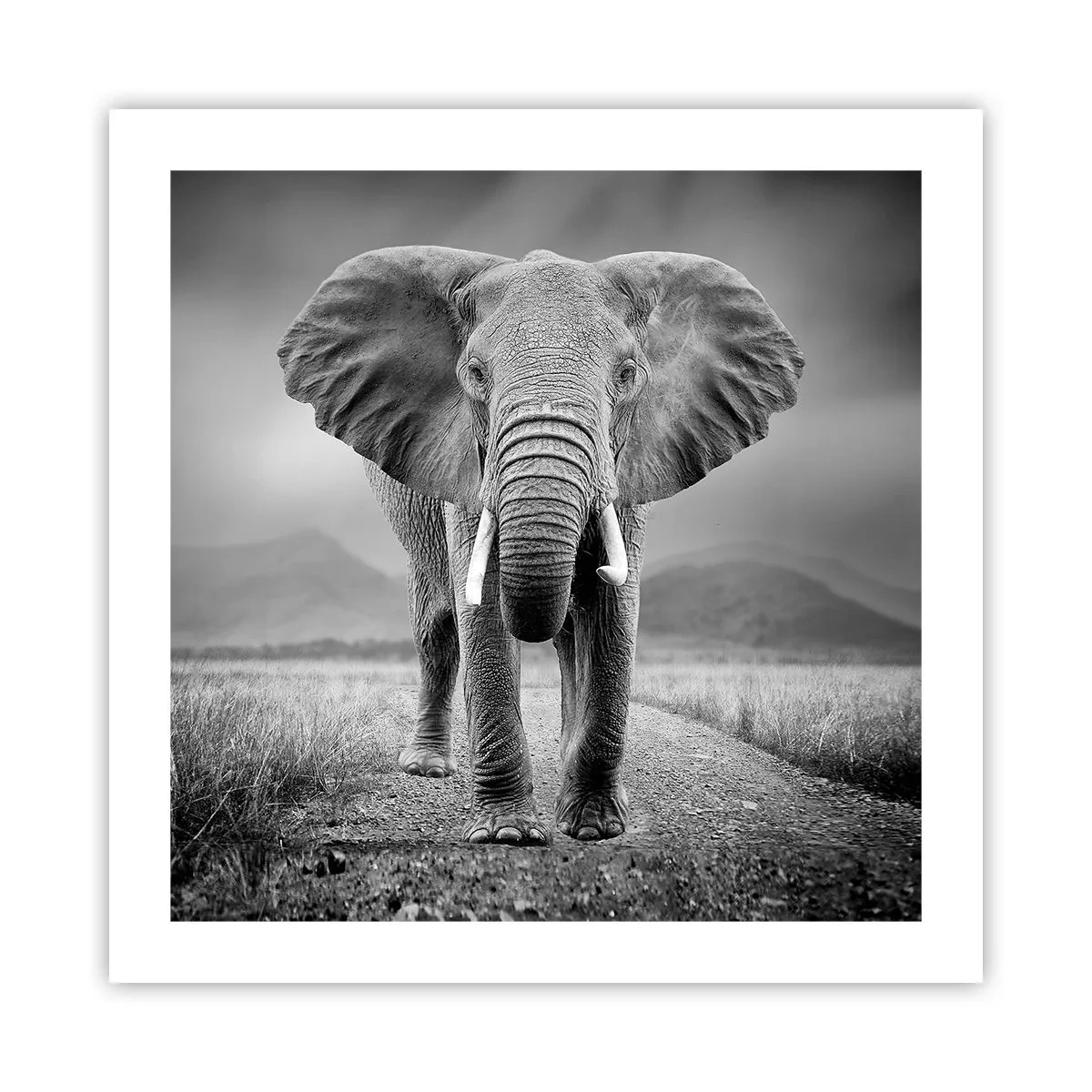 Pôster - O anfitrião dá as boas-vindas - 50x50 cm