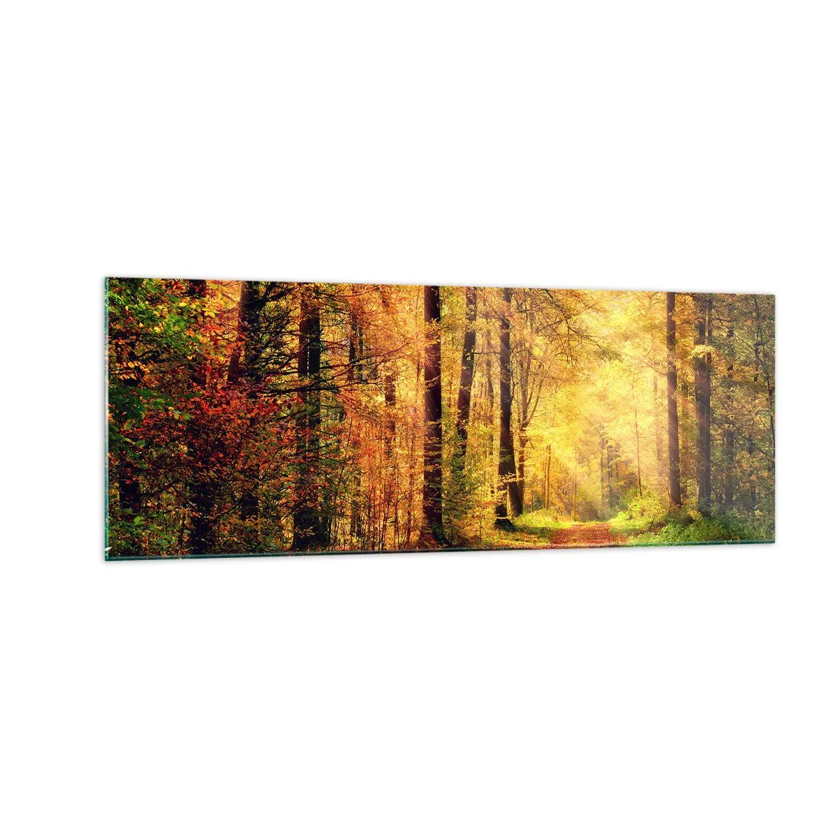 Quadro em vidro - Silêncio dourado da floresta - 140x50 cm