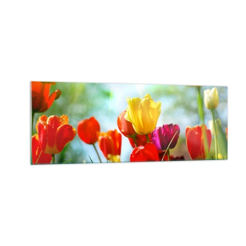 Quadro em vidro - Todas as cores do sol - 140x50 cm