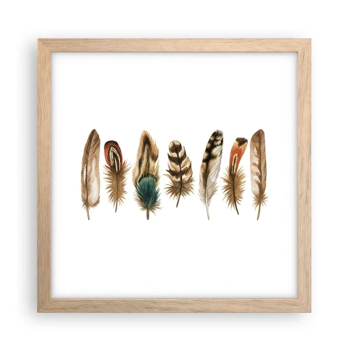 Pôster com moldura de carvalho claro - Variações de penas - 30x30 cm