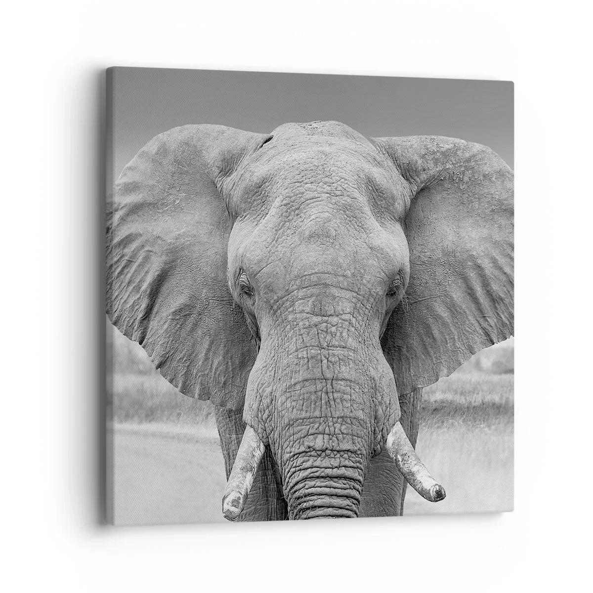 Quadro em tela - Bem-vindo ao meu mundo - 40x40 cm