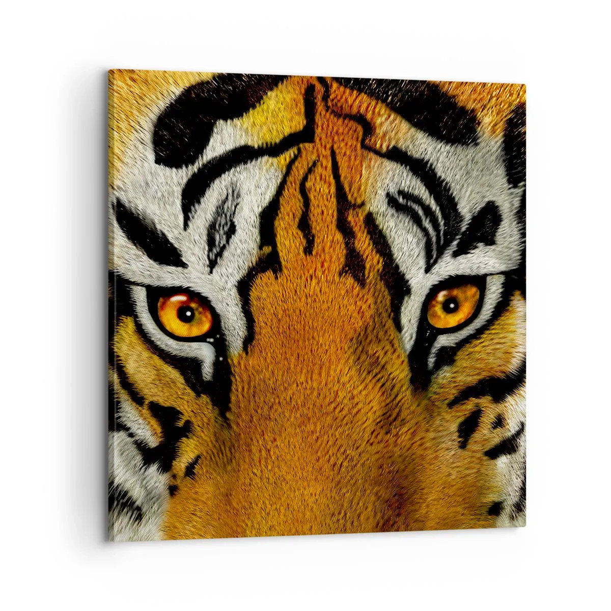 Quadro em tela - Perigoso e bonito - 60x60 cm