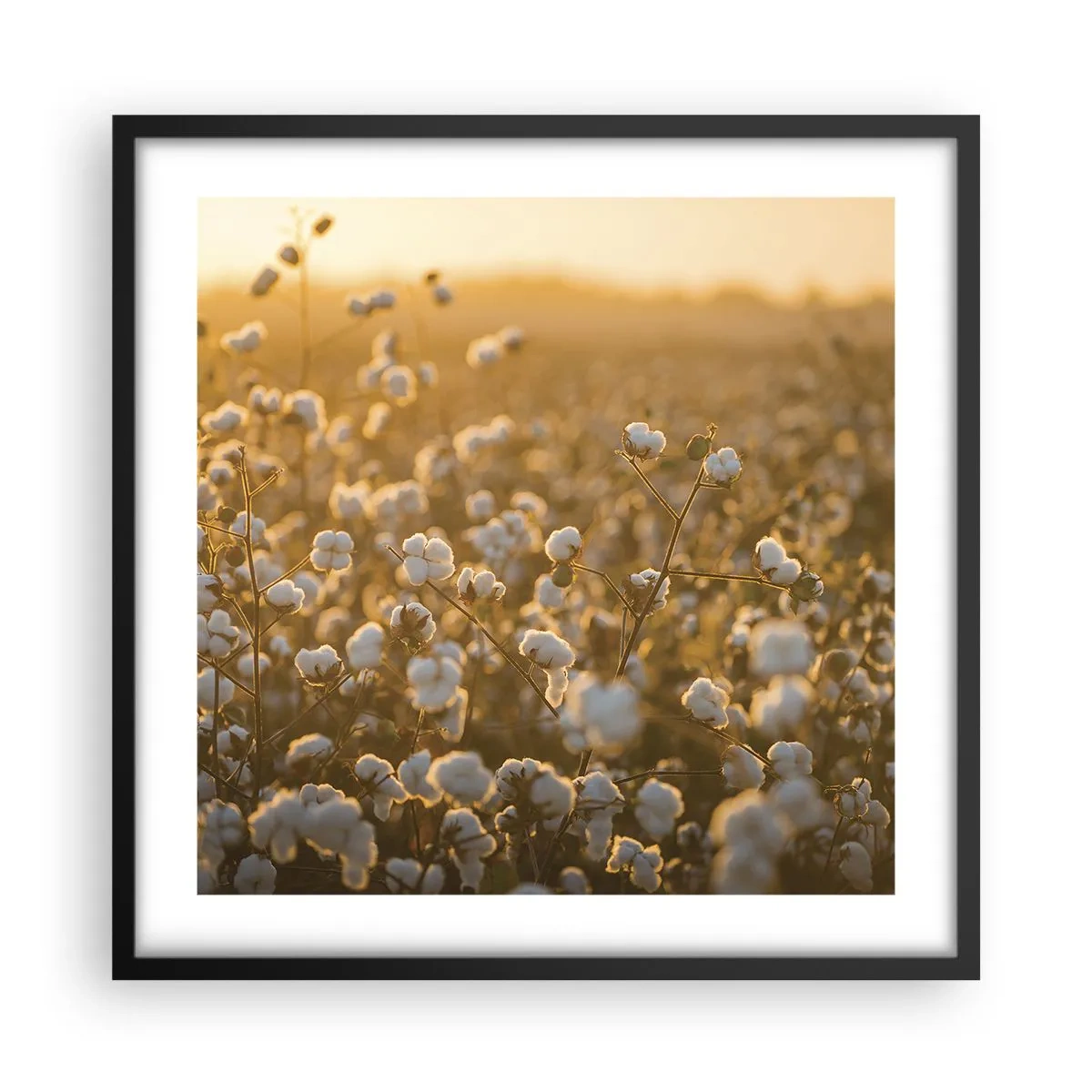 Pôster com moldura preta - Campo macio - 50x50 cm