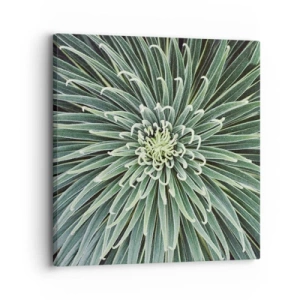 Quadro em tela - Nasce uma estrela - 30x30 cm