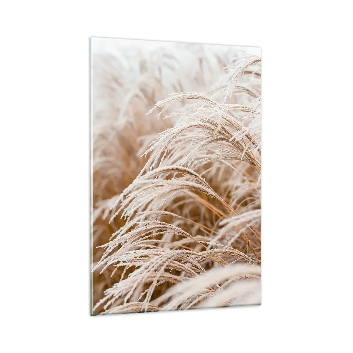 Quadro em vidro - Curvar-se ao sol de outono - 80x120 cm