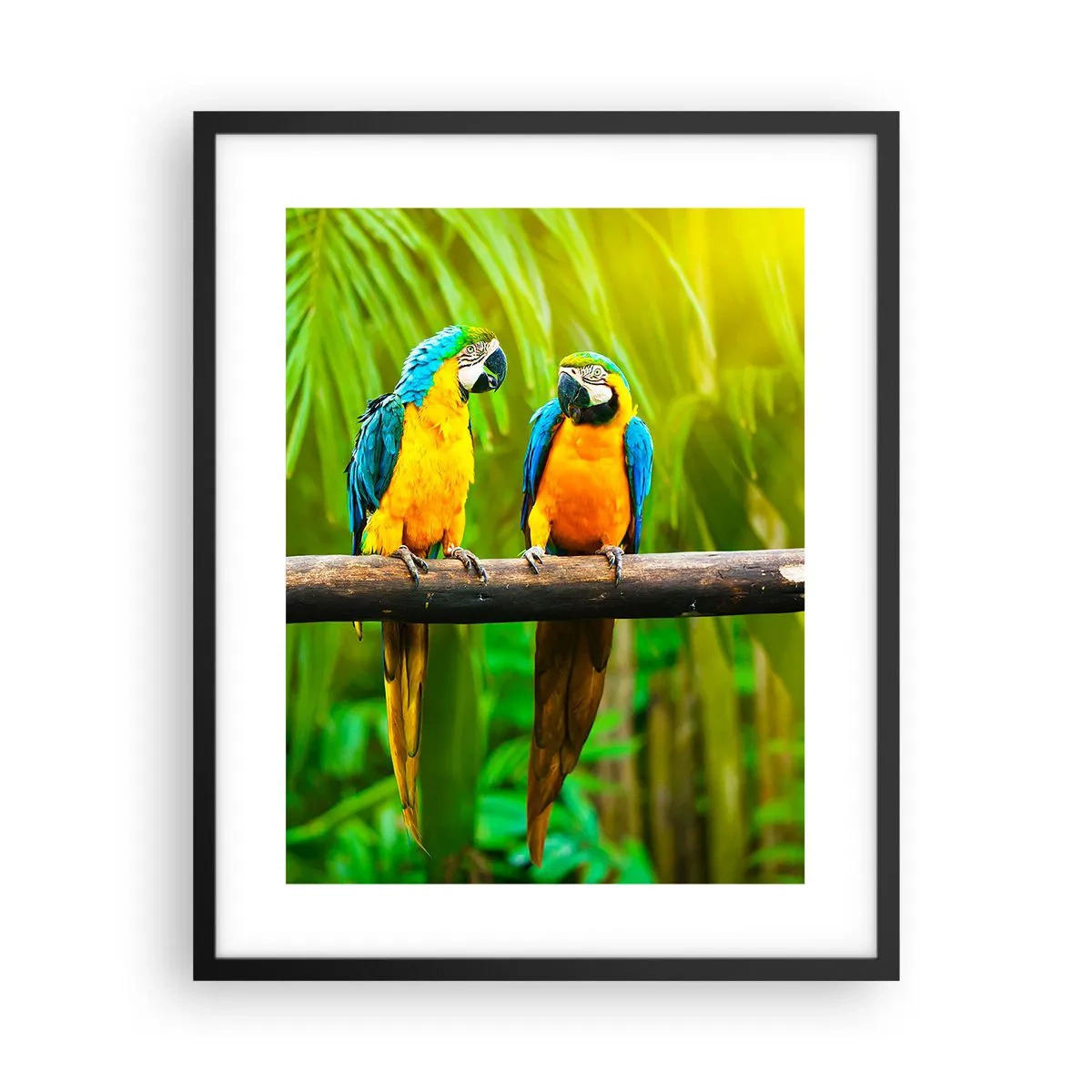 Pôster com moldura preta - E ouviste dizer que ela...? - 40x50 cm