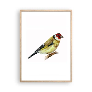 Pôster com moldura de carvalho claro - Retrato de um pássaro - 50x70 cm