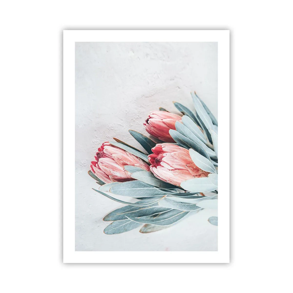 Pôster - Envergonhadas da sua própria beleza - 50x70 cm