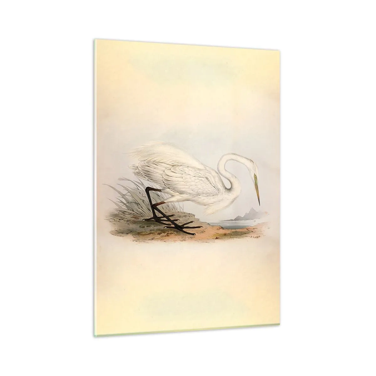 Quadro em vidro - A senhora nos juncos - 50x70 cm