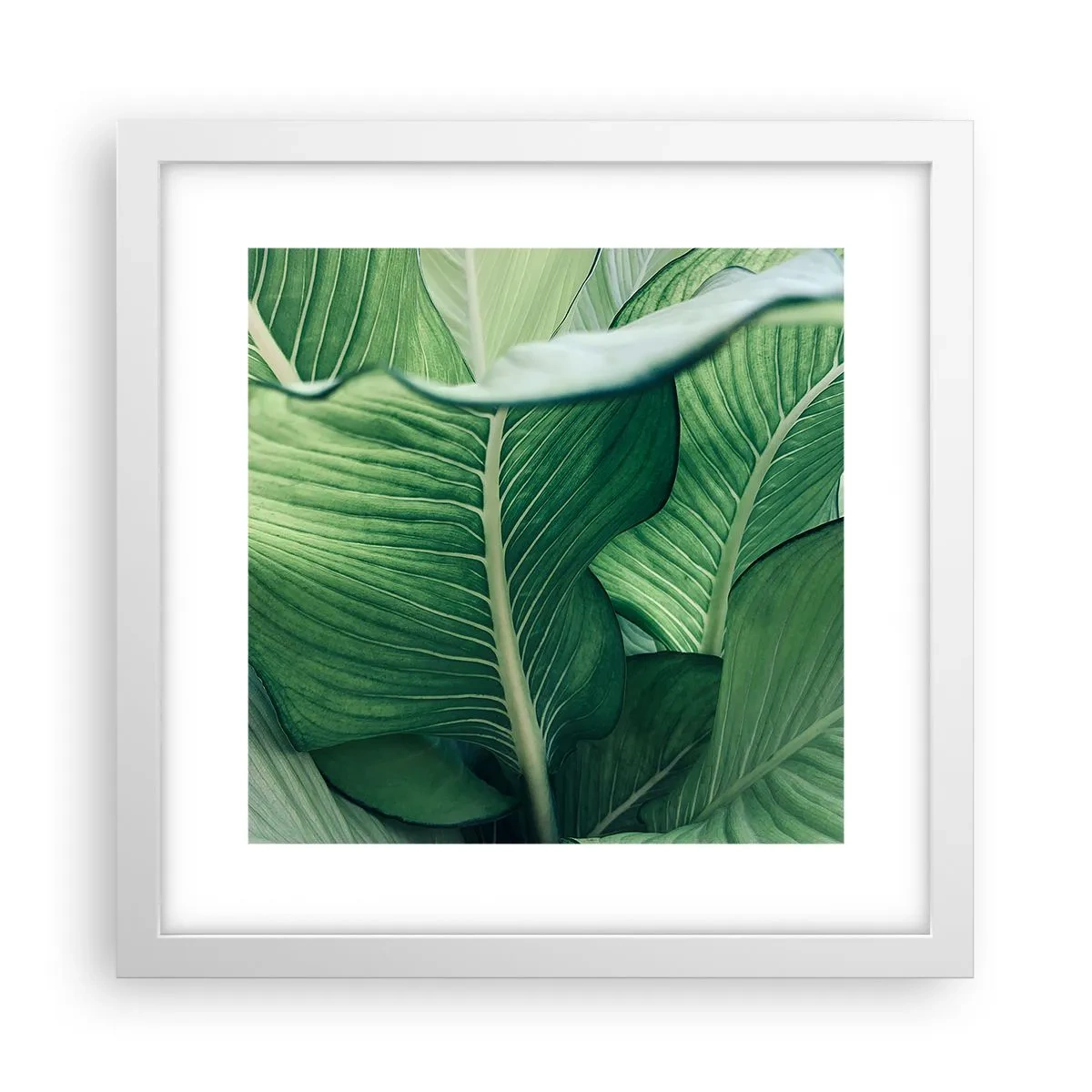 Pôster em moldura branca - Vida intensamente verde - 30x30 cm