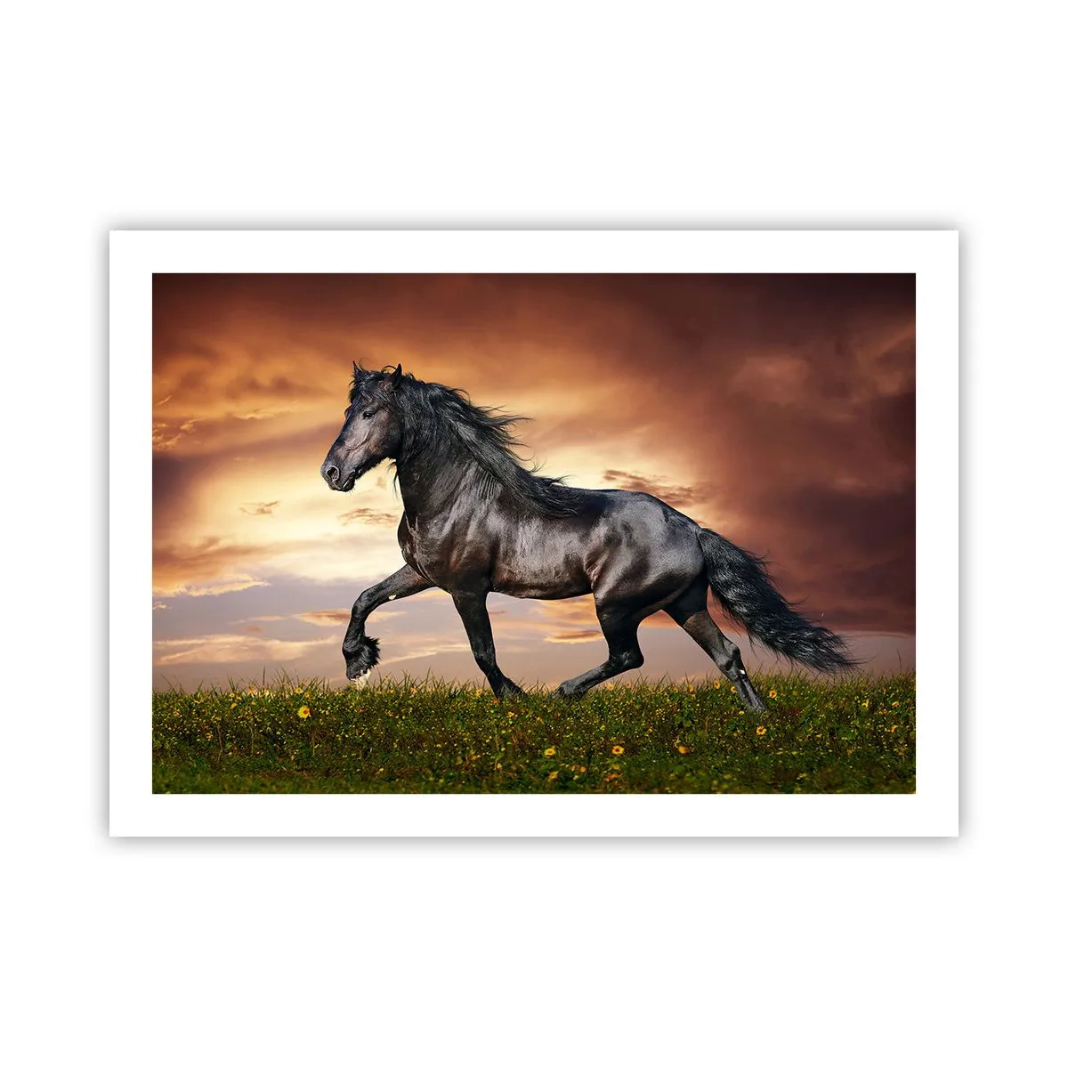 Pôster - O Príncipe Negro - 70x50 cm