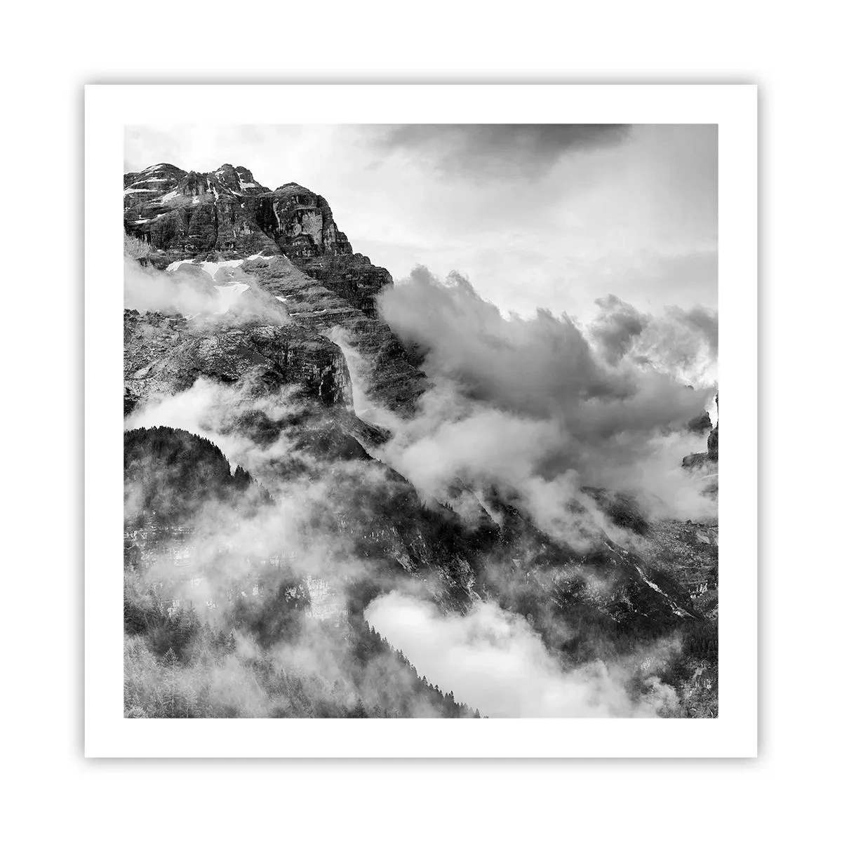 Pôster - Bonitas e cruéis - 60x60 cm