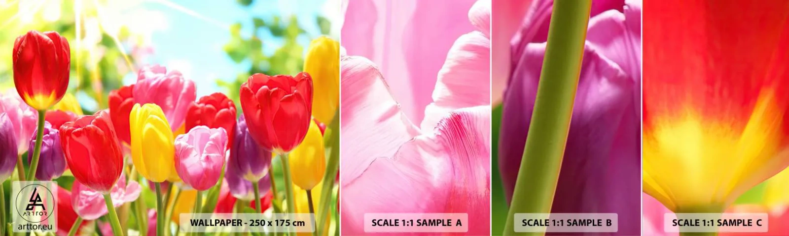 Amostra de Papel de Parede Standard Eco - Somos nós, as cores de maio! - Flores, Tulipas, Jardim - 100x30 cm