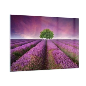Quadro em vidro - Nos campos de lavanda - 100x70 cm