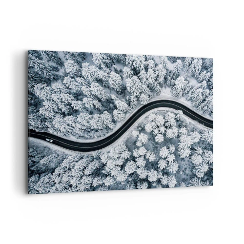 Quadro em tela - Pelaa floresta no inverno - 100x70 cm