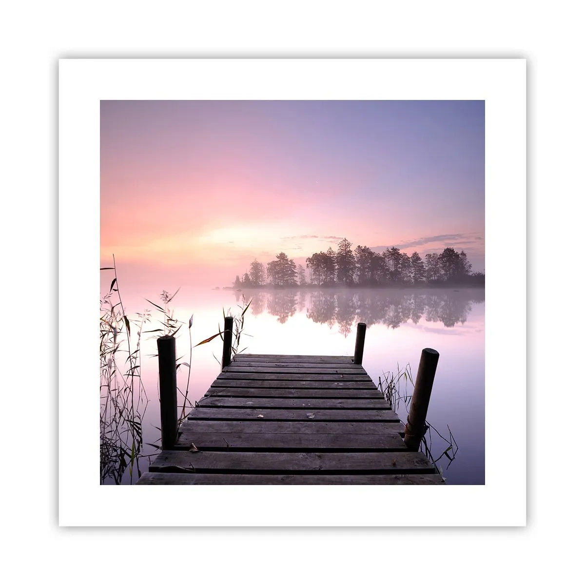 Pôster - Da névoa lilás... - 40x40 cm