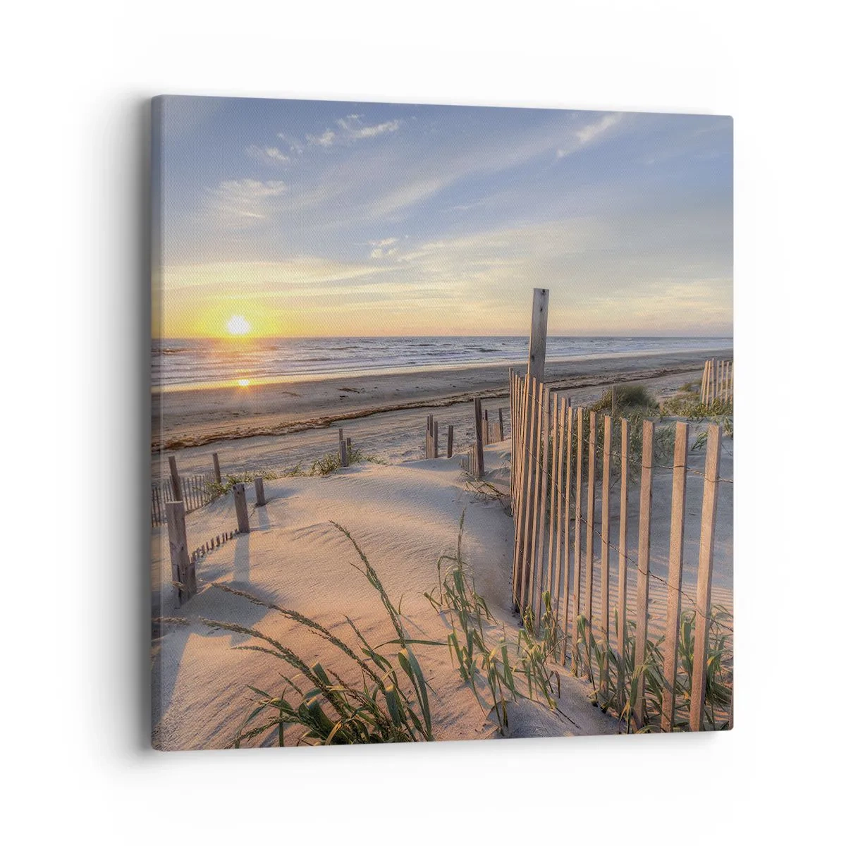 Quadro em tela - Brilho e sombra do vento - 40x40 cm