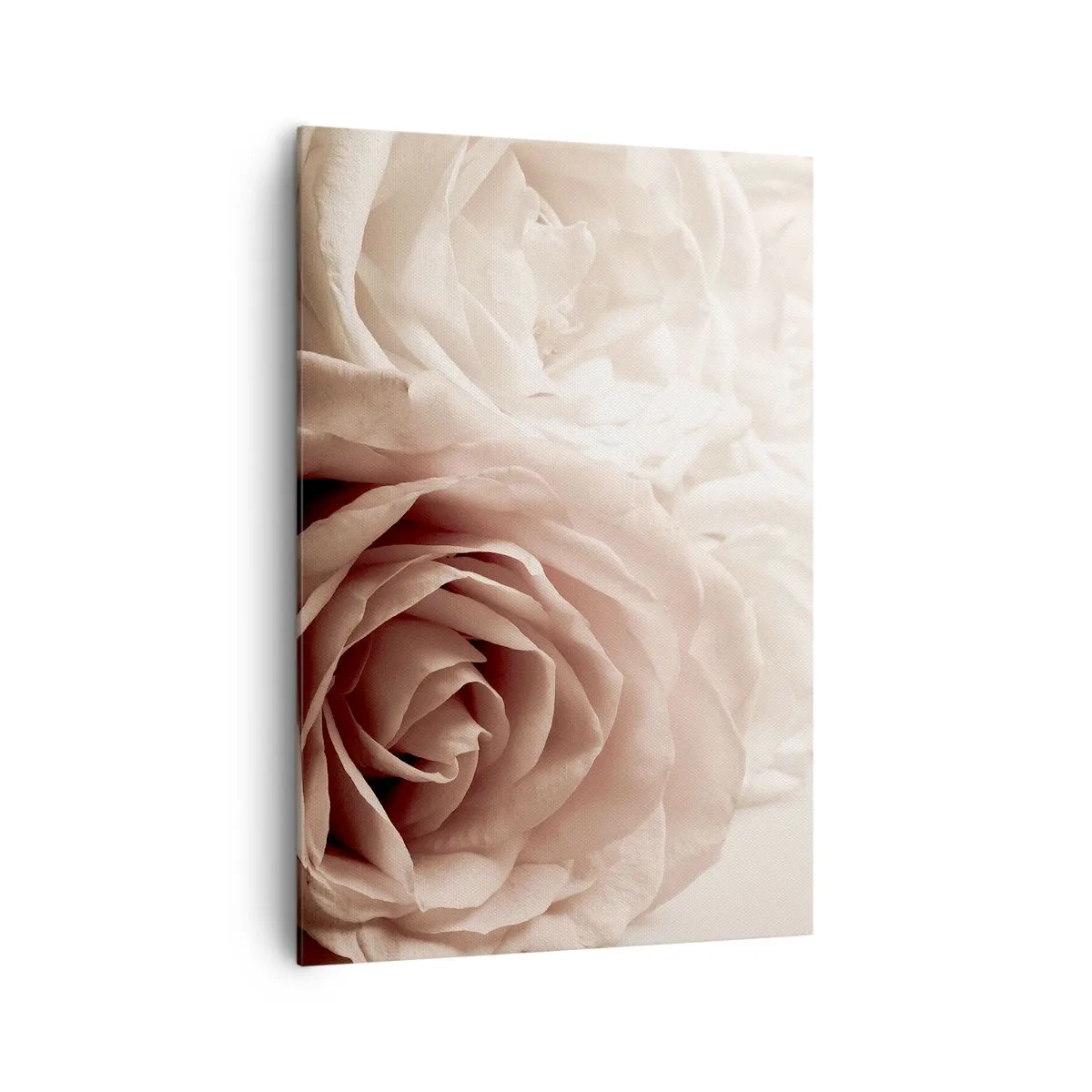 Quadro em tela - No coração de uma rosa - 70x100 cm