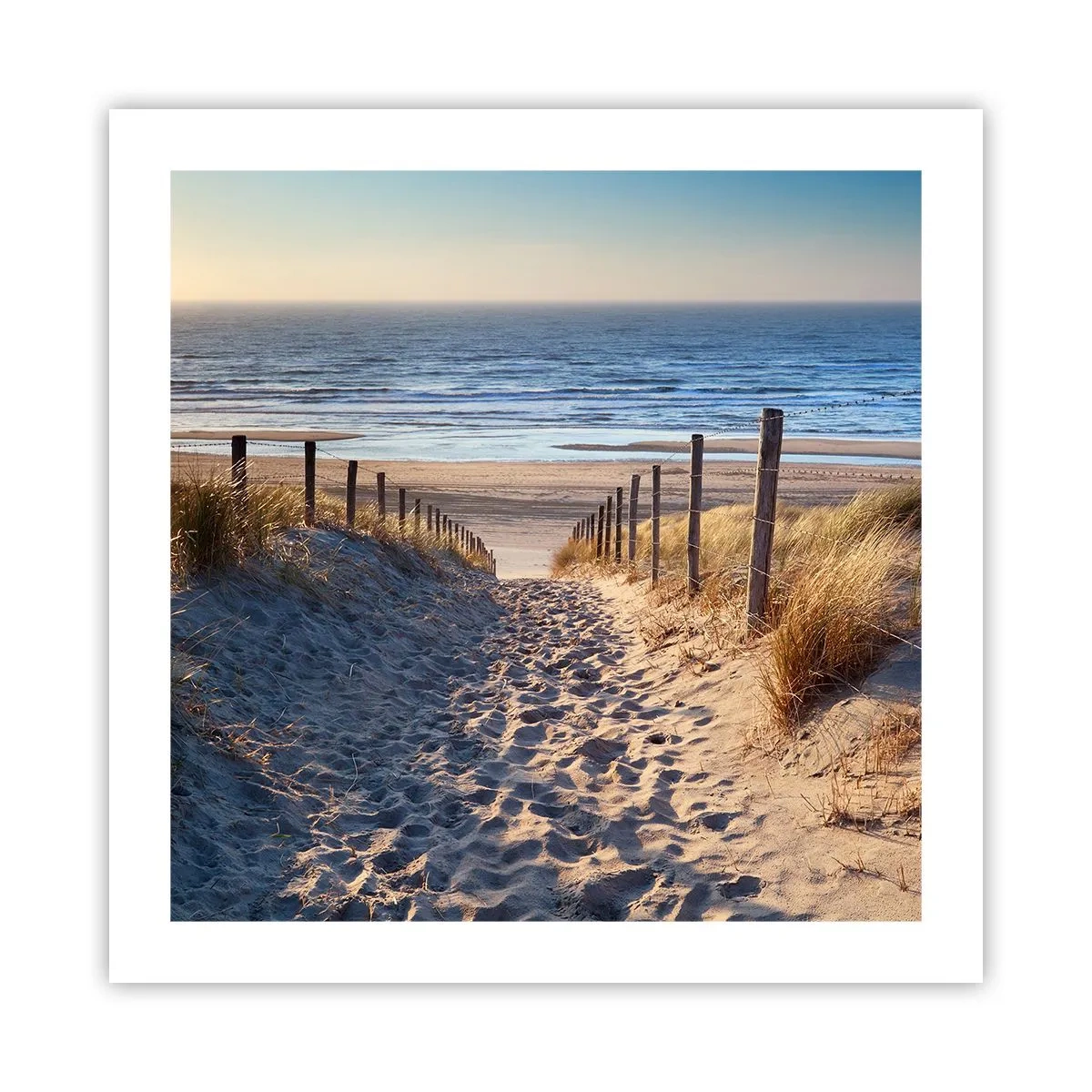 Pôster - O som do mar, o canto dos pássaros, a praia selvagem entre a relva... - 50x50 cm