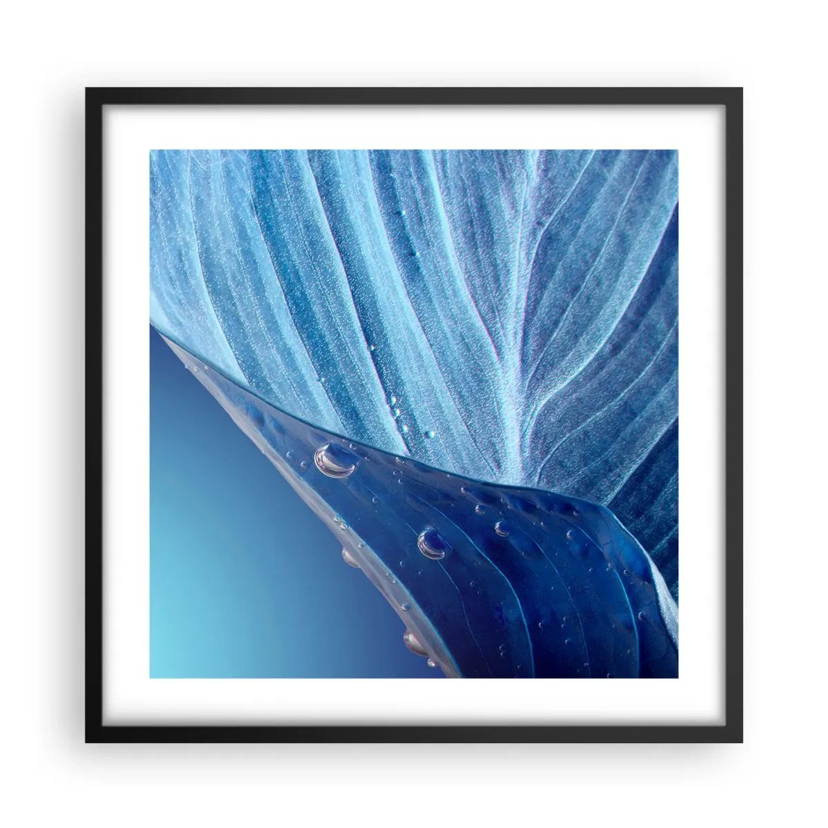 Pôster com moldura preta - Gotas escondidas no azul - 50x50 cm
