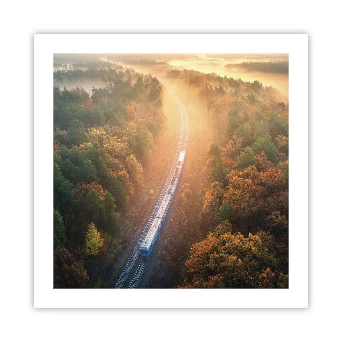 Pôster - Uma viagem de outono - 50x50 cm