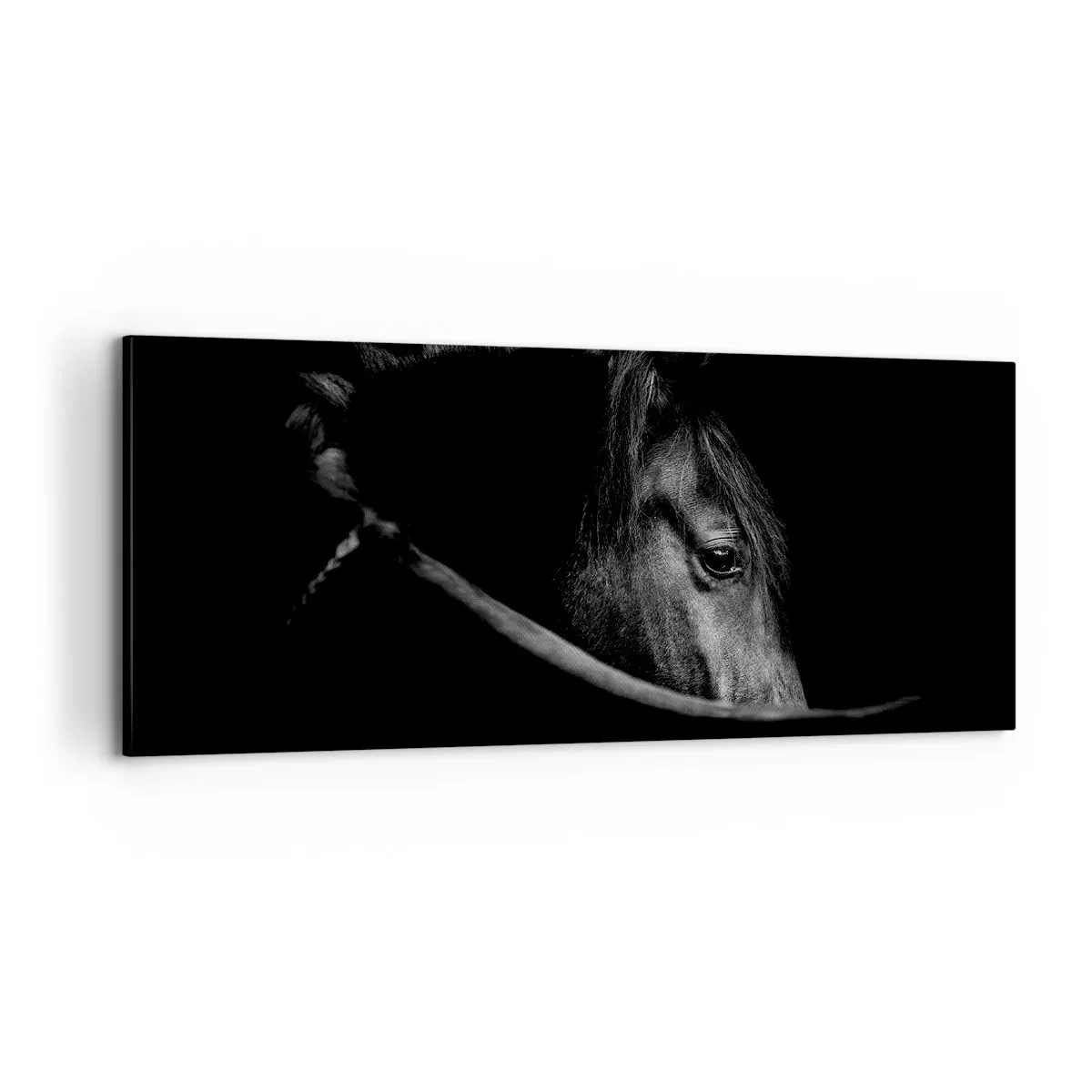 Quadro em tela - Príncipe Negro - 100x40 cm