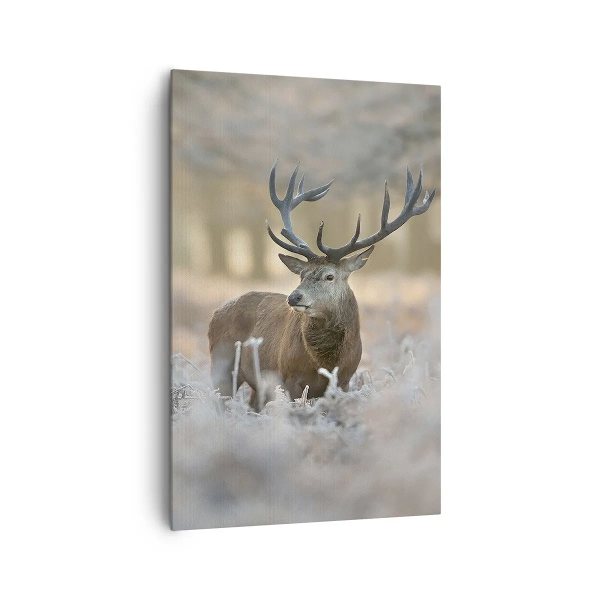 Quadro em tela - Uma manhã fresca - 80x120 cm